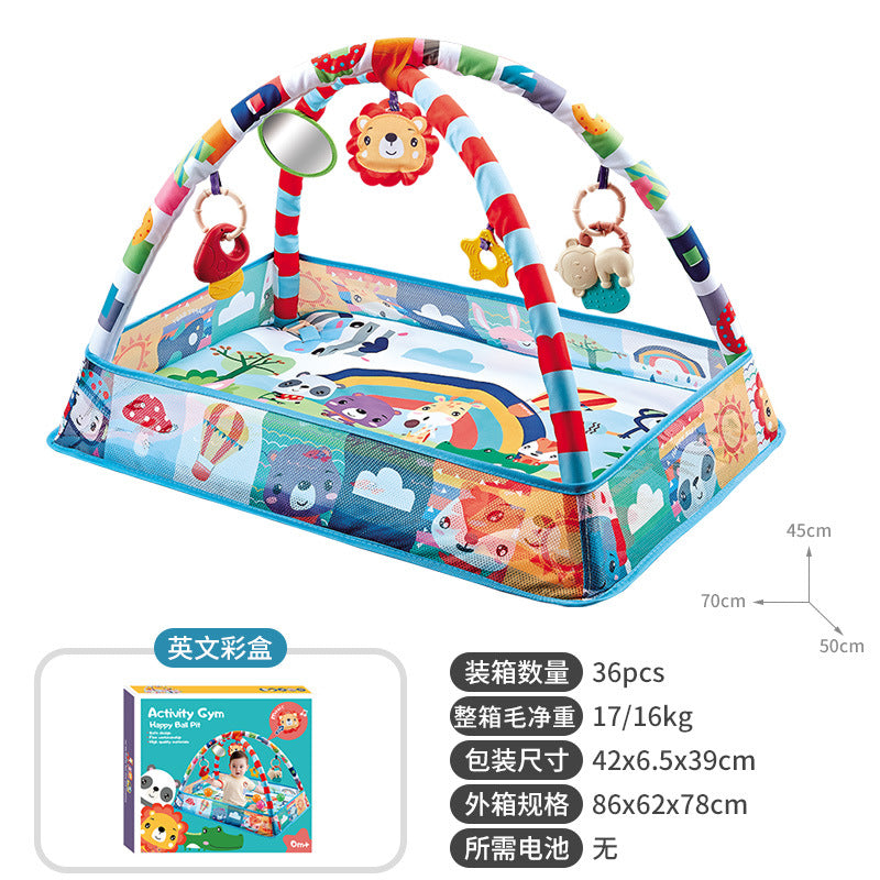 Baby Play Gym with Ocean Balls and Activity Fence